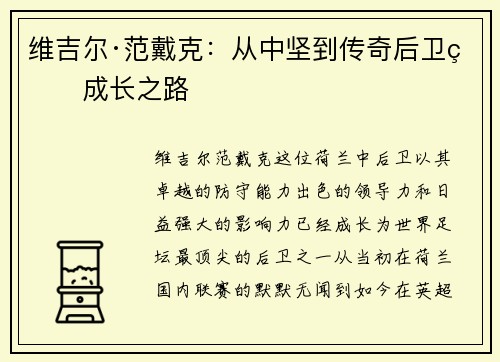 维吉尔·范戴克：从中坚到传奇后卫的成长之路